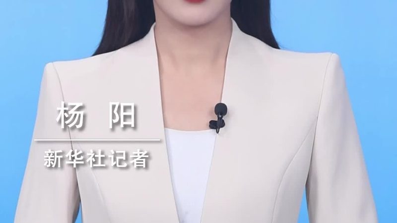 揭秘零售电商数据中台：厂商排名背后的技术逻辑